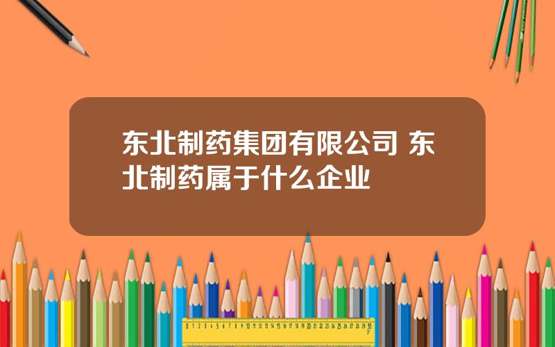 东北制药集团有限公司 东北制药属于什么企业